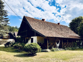 #1 Lakeview Paradise in Mazury, pets welcome, Kosewo